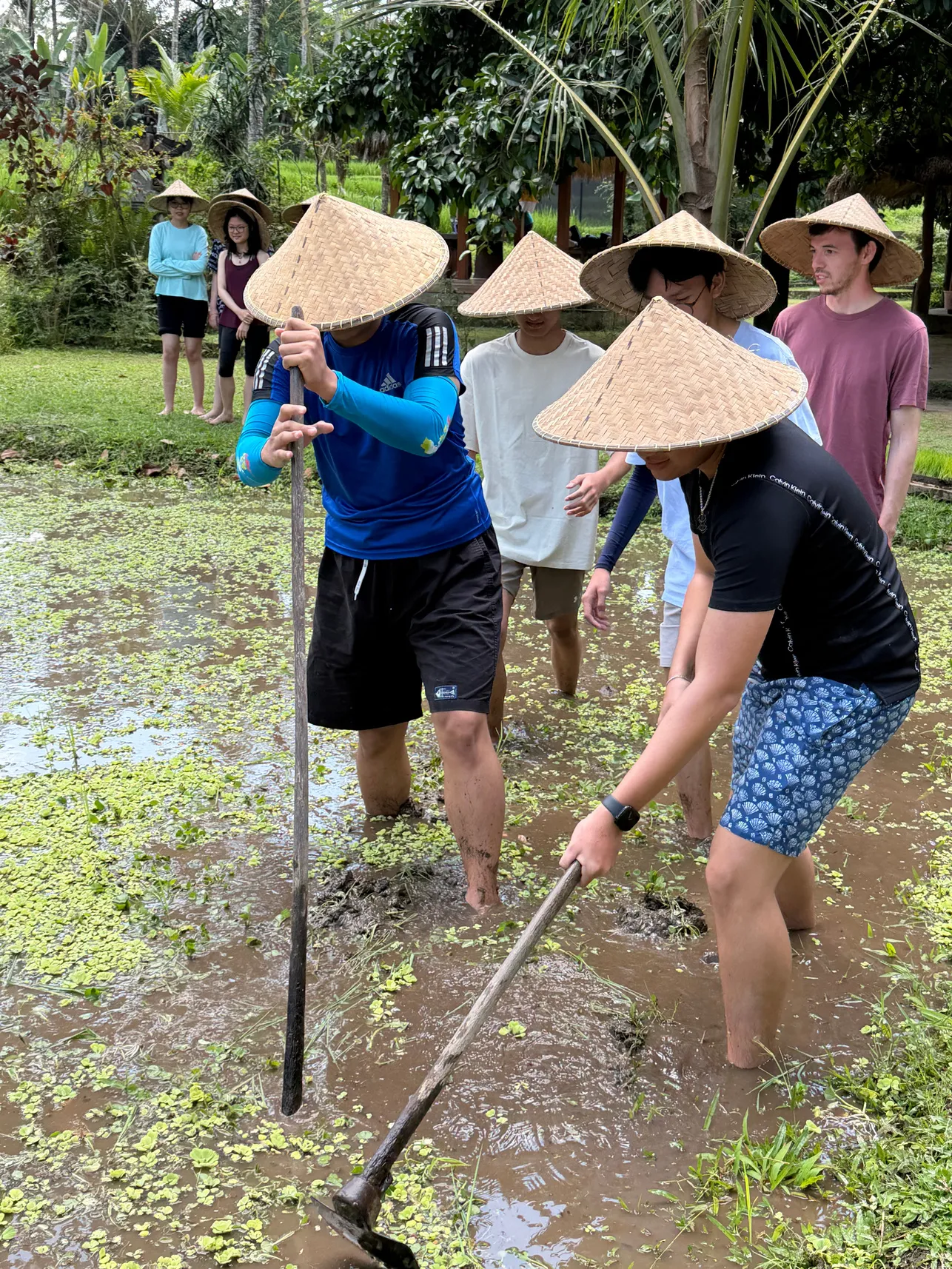 Sustainable farming CAS photo 2