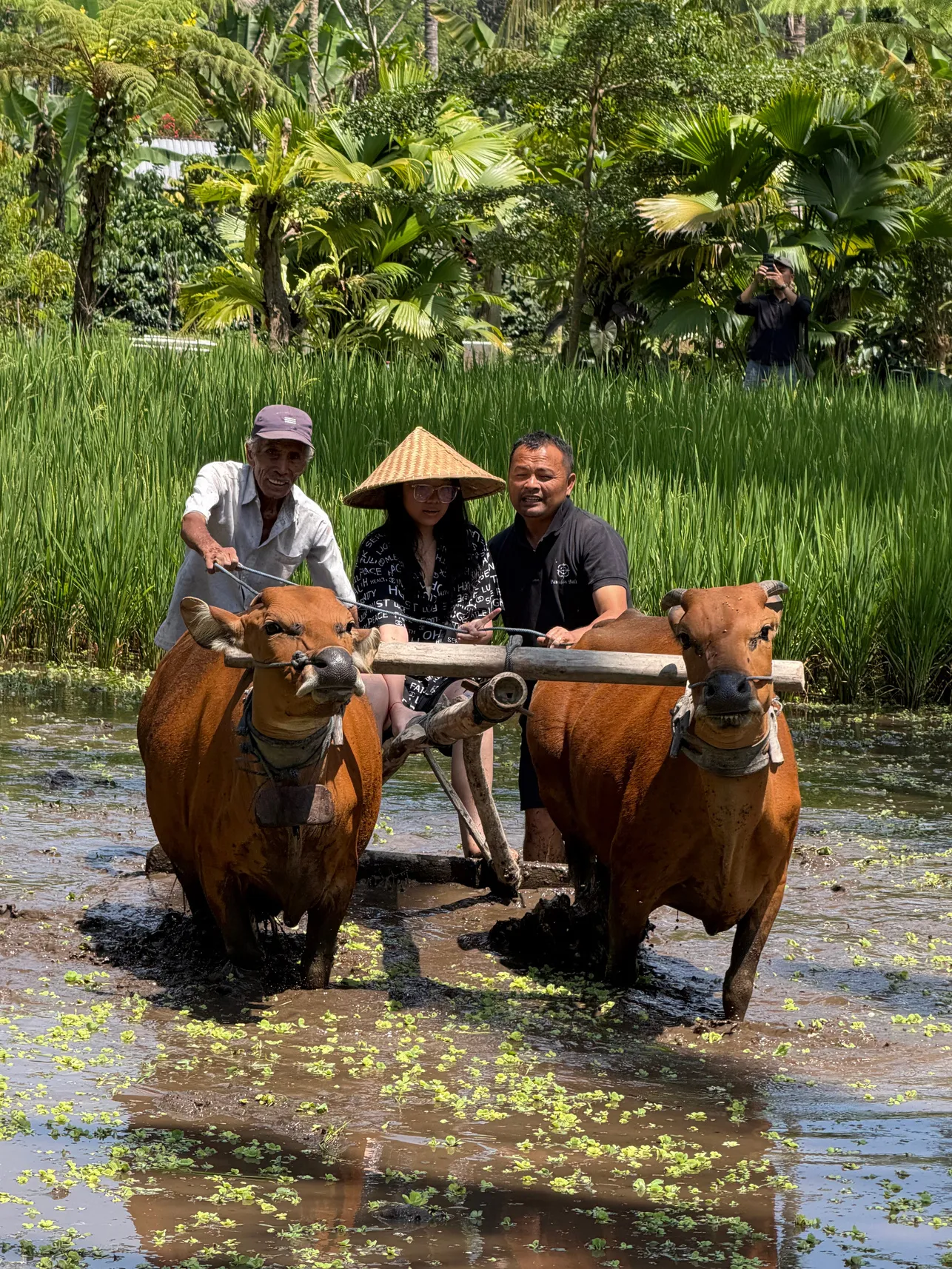 Sustainable farming CAS photo 3