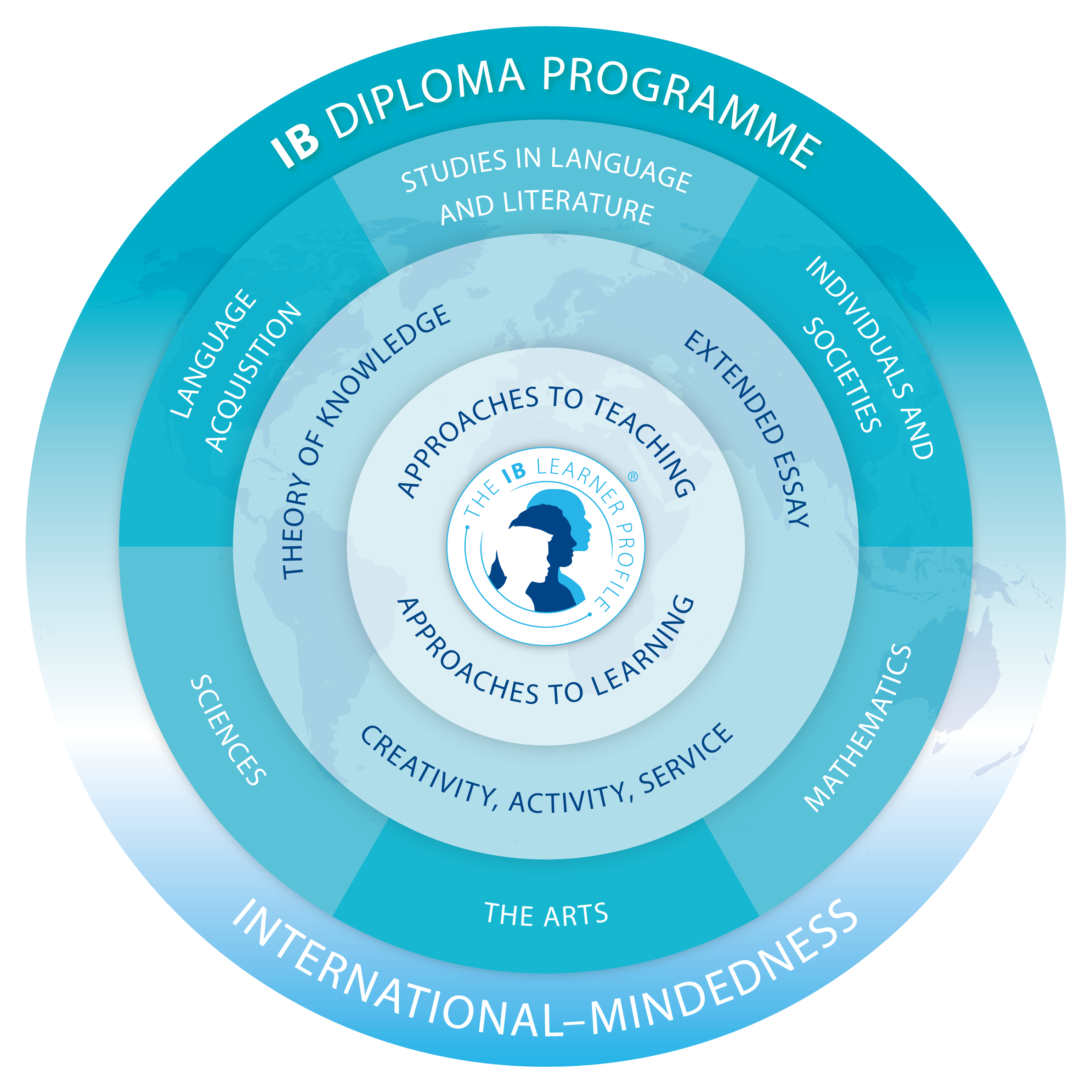 DP programme model